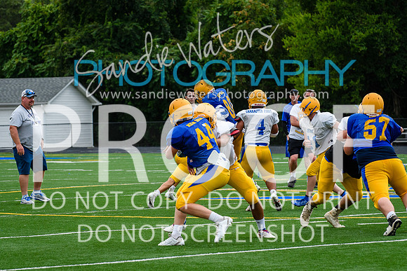 Blue-Gold_2019-255