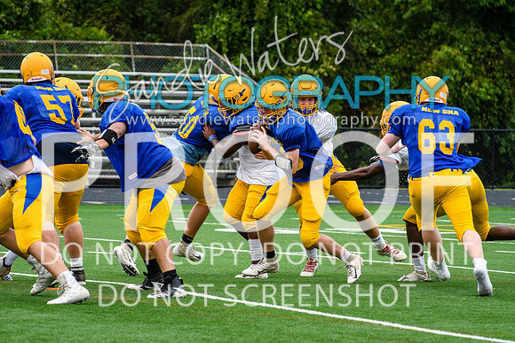 Blue-Gold_2019-267