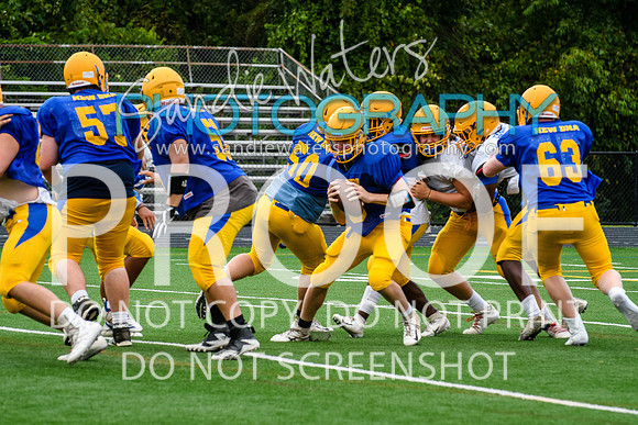 Blue-Gold_2019-268