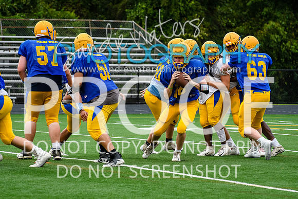 Blue-Gold_2019-269
