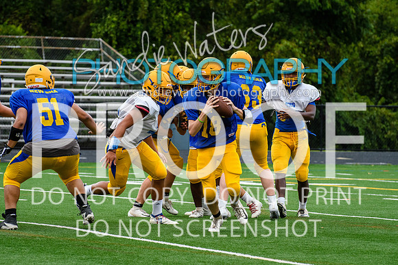 Blue-Gold_2019-270
