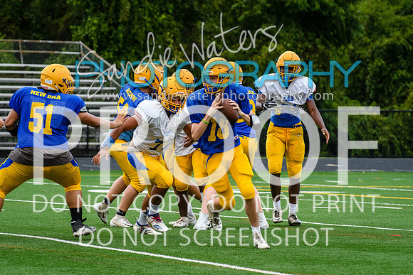 Blue-Gold_2019-271