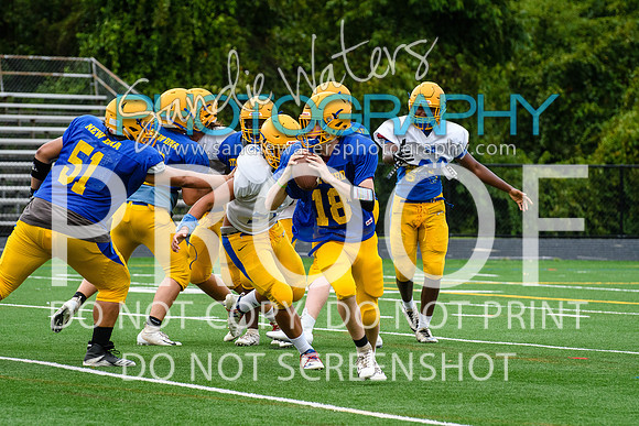 Blue-Gold_2019-272
