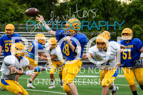 Blue-Gold_2019-276