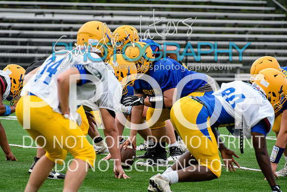 Blue-Gold_2019-277