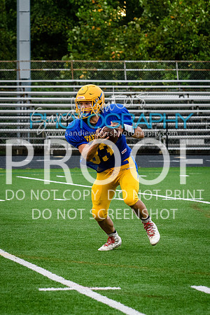 Blue-Gold_2019-301