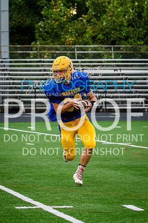 Blue-Gold_2019-302