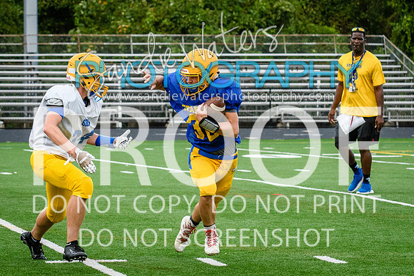 Blue-Gold_2019-306