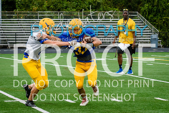 Blue-Gold_2019-307
