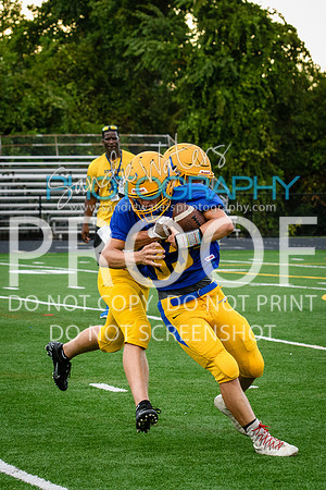 Blue-Gold_2019-310