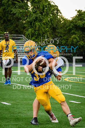 Blue-Gold_2019-311