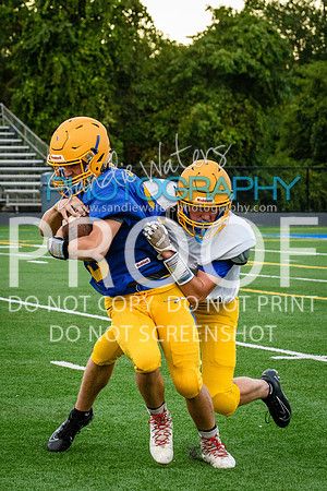 Blue-Gold_2019-312
