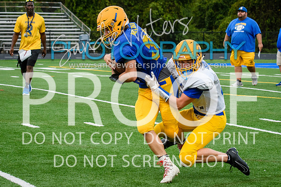 Blue-Gold_2019-313
