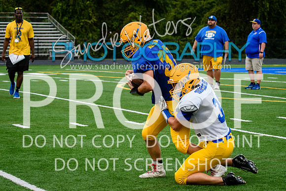 Blue-Gold_2019-314