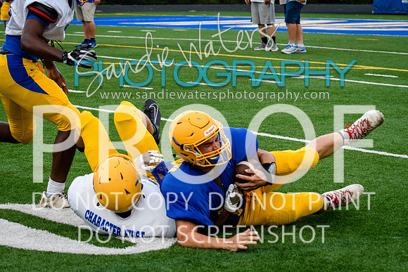 Blue-Gold_2019-315