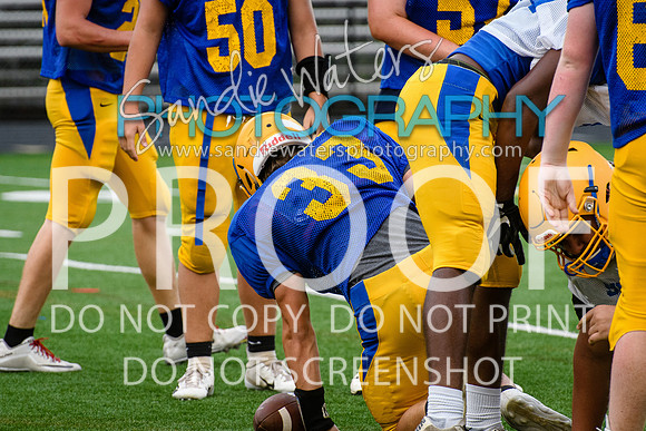 Blue-Gold_2019-320