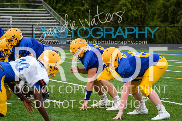 Blue-Gold_2019-321