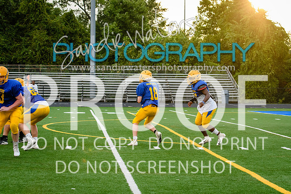 Blue-Gold_2019-324