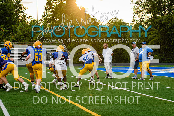Blue-Gold_2019-331