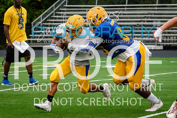 Blue-Gold_2019-343