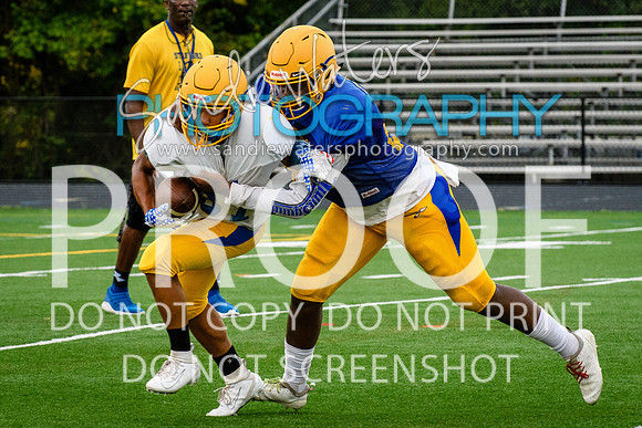 Blue-Gold_2019-344