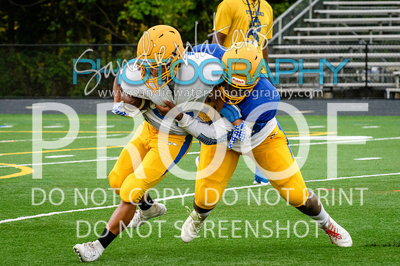 Blue-Gold_2019-345