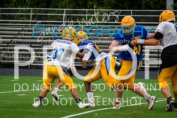 Blue-Gold_2019-353