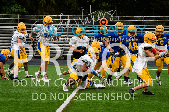 Blue-Gold_2019-356