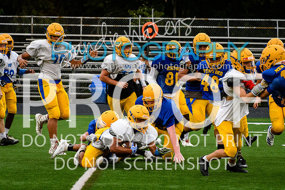 Blue-Gold_2019-357