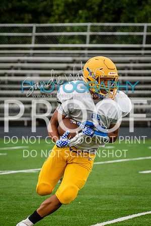 Blue-Gold_2019-362