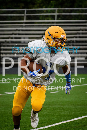 Blue-Gold_2019-364