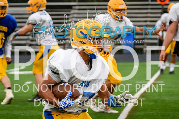 Blue-Gold_2019-367