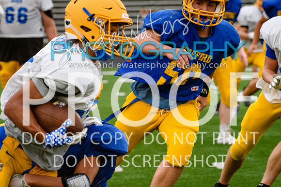 Blue-Gold_2019-370