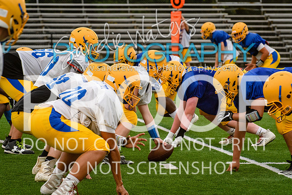 Blue-Gold_2019-371