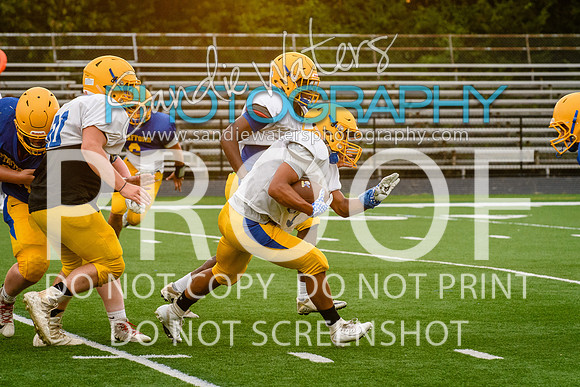 Blue-Gold_2019-372