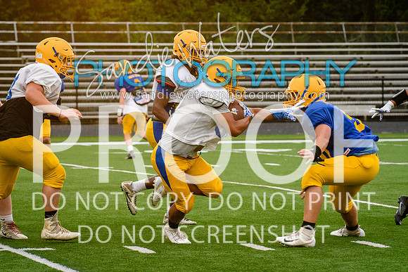 Blue-Gold_2019-373