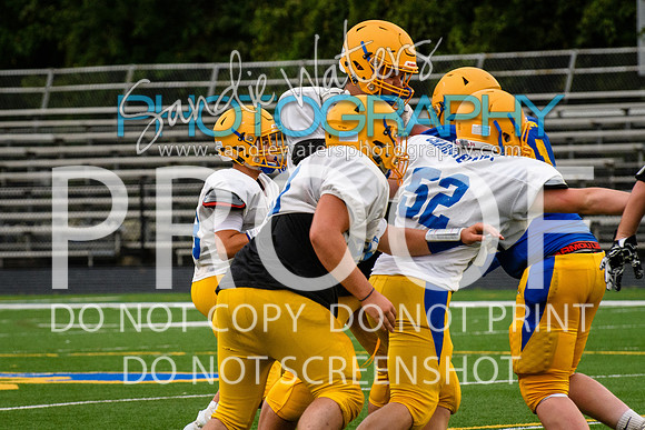 Blue-Gold_2019-389