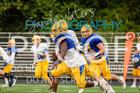 Blue-Gold_2019-396