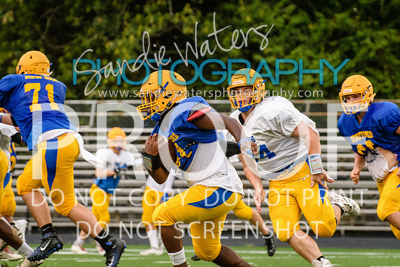Blue-Gold_2019-397