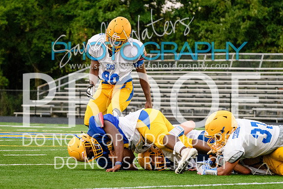Blue-Gold_2019-400