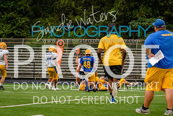Blue-Gold_2019-404