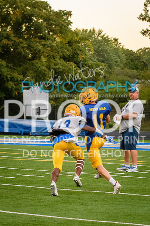 Blue-Gold_2019-405