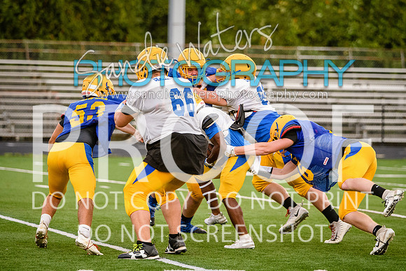 Blue-Gold_2019-425