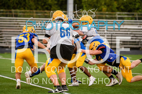Blue-Gold_2019-426