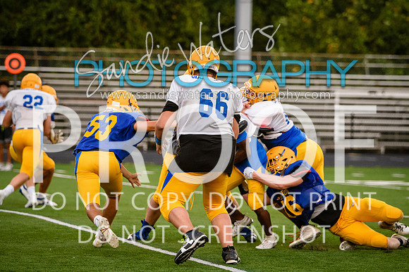Blue-Gold_2019-427