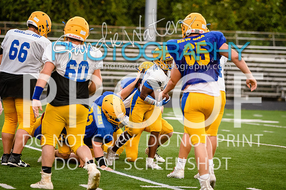 Blue-Gold_2019-428