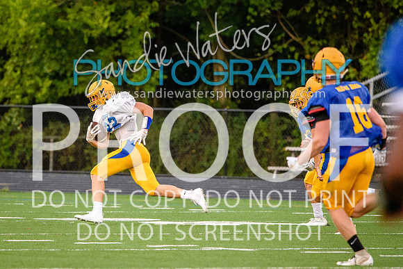 Blue-Gold_2019-439