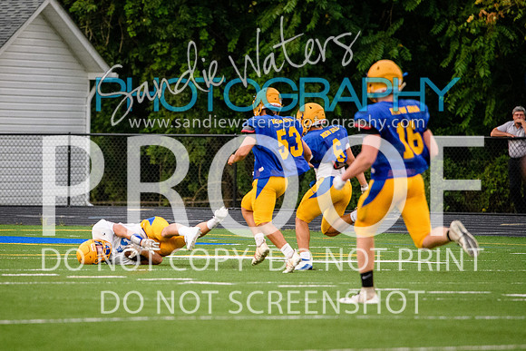 Blue-Gold_2019-442