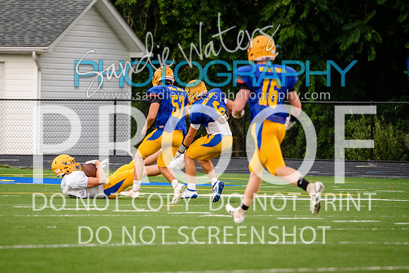 Blue-Gold_2019-443