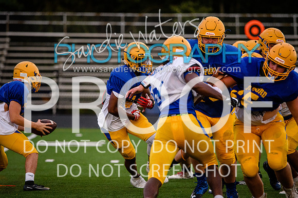 Blue-Gold_2019-448
